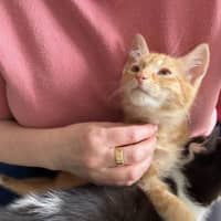 Photo of Cheezel 
