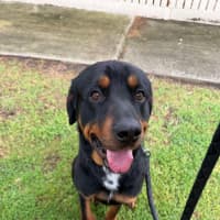 Photo of Big Baby Ben