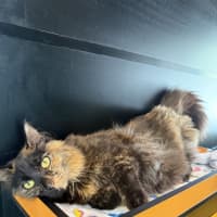 Photo of Sally