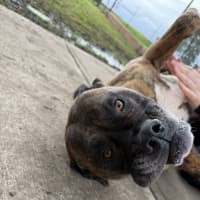 Photo of Cash