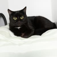 Photo of Fiona