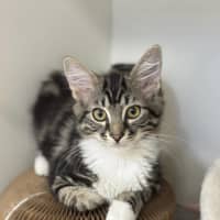Photo of Timmy