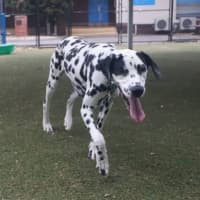 Photo of Pancake