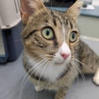 Photo of Blossom And Miette