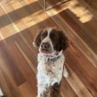 Photo of Ralph Valenti