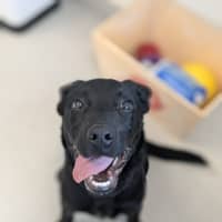 Photo of 🛴 Enzo 5574 🛴