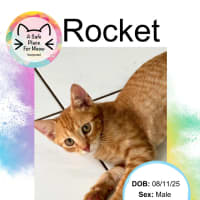 Photo of Rocket