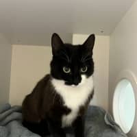 Photo of Evie Dwelly