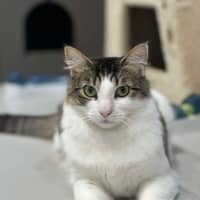 Photo of 🥥 Chester 5640 🥥