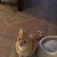 Photo of George