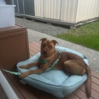 Photo of Zeus