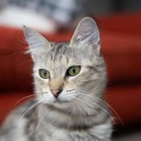 Photo of Blondie 🩷 