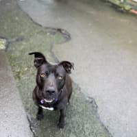 Photo of Storm