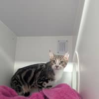 Photo of Libba 