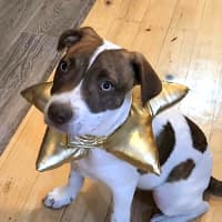 Photo of Bert & Ernie