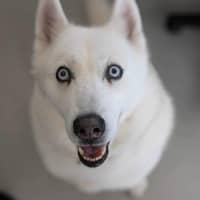 Photo of 🌻 Maya 5035 🌻