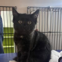 Photo of Skittles