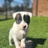 Photo of Gloria