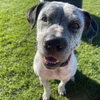 Photo of Ghost