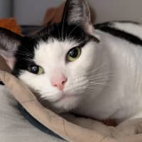 Photo of Alice