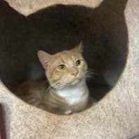Photo of Loui