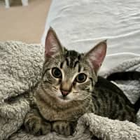 Photo of Ashley