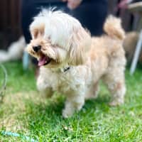 Photo of Molly & Benji