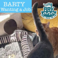 Photo of Ron & Barty