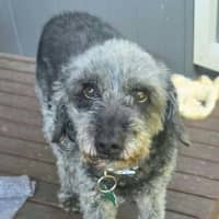 Photo of Wanda