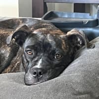 Photo of Daisy Haliwell