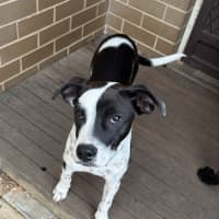 Photo of Jessie