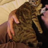Photo of Jellycat