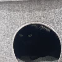 Photo of Jet