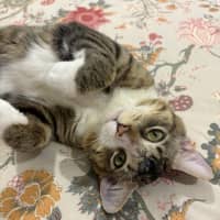 Photo of Wilbur