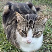 Photo of Apollo And Artemis