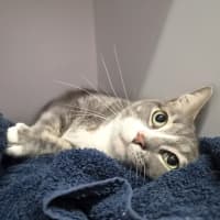 Photo of Jasper