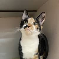 Photo of Ruby