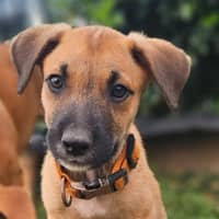 Photo of Uno