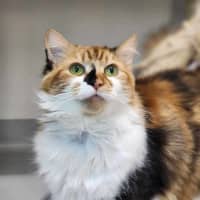 Photo of 🥂 Clicquot 5748 🥂