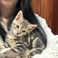 Photo of Mac   Located In Preston