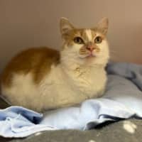 Photo of Sandy