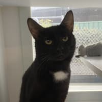 Photo of Finn