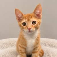 Photo of Ralph