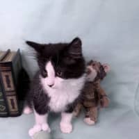 Photo of Gracie May 🌷