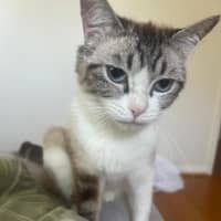 Photo of Lucy 