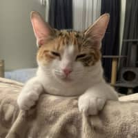 Photo of Dottie