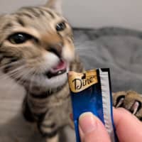 Photo of $180 Snuggles