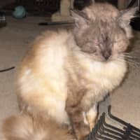 Photo of Busta