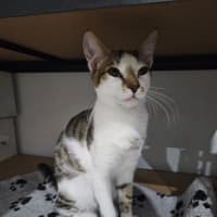 Photo of Jack