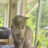 Photo of Josie